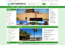 网站案例