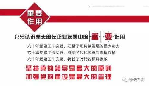 兰州石化基层党支部建设工作实践与兰州网站建设的协同发展
