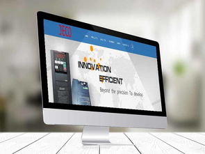 西格勒医疗用品公司外贸网站建设案例 精准定位与专业呈现的典范