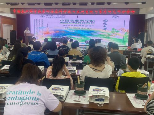 文明实践树新风 多彩活动润心田——兰州市七里河区以创新实践点亮城市文明